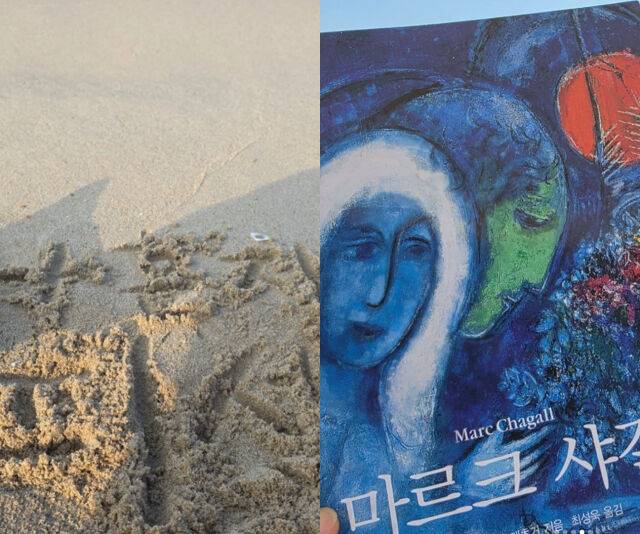 전현무가 피서 중 교양 책을 읽었다. / 전현무 소셜미디어