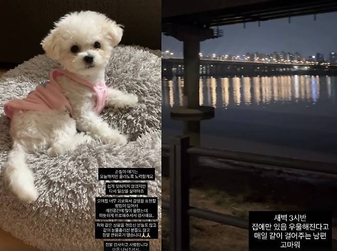 미자 소셜네트워크서비스 계정