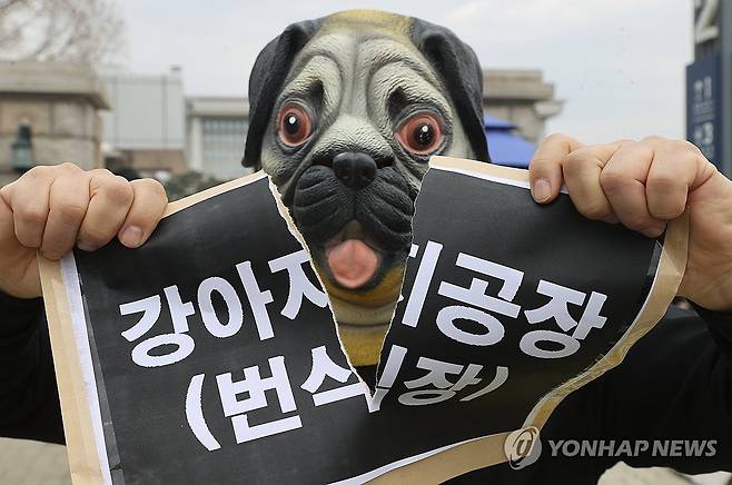 2024년 3월22일 한국동물보호연합 활동가들이 서울 여의도 국회 앞에서 기자회견을 열고 강아지 공장(번식장) 폐쇄를 촉구하는 퍼포먼스를 하고 있다. [연합뉴스 자료사진]