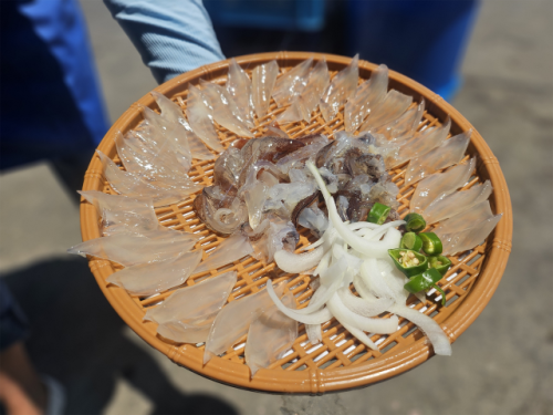 ◇오징어난전 56000원. 사진=속초시청 자유게시판 캡처