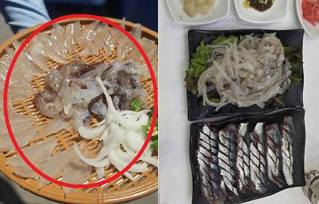 A씨가 속초 오징어 난전에서 5만 6000원에 구입한 오징어 2마리(왼쪽)와 그 앞 횟집에서 판매한 2만원어치 오징어와 서비스회. (사진=속초시청 홈페이지 캡처)