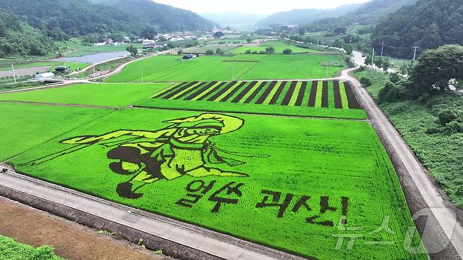 충북 괴산군이 문광저수지 인근에 조성한 색깔 벼 논 그림 '부동'(괴산군 제공),/뉴스1 ⓒ News1 이성기 기자