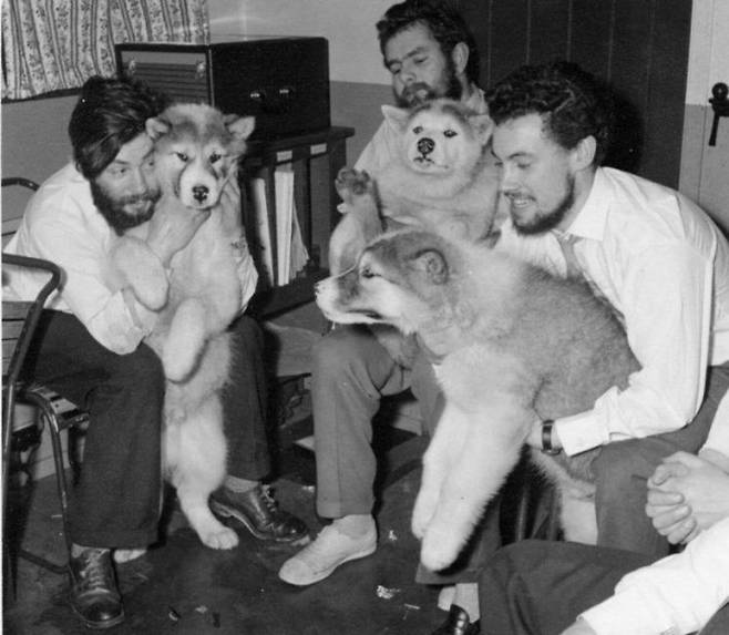 1959년 당시 데니스 팅크 벨(왼쪽)과 동료들, 그리고 남극 탐사 임무에 이바지한 개들. BAS홈페이지 연합뉴스