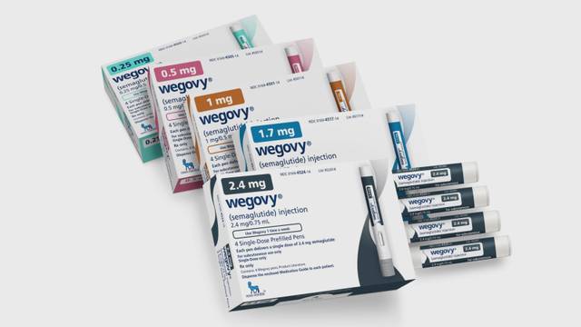 위고비. 노보 노디스크제약 제공