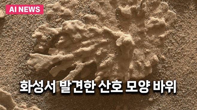 NASA의 큐리오시티가 발견한 산호 모양 바위 / NASA/JPL-Caltech/MSSS