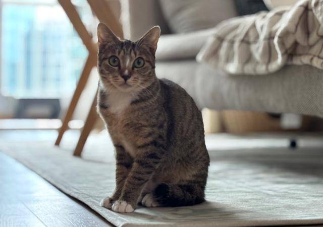 얼굴에서 느낌표를 찾아보세요!