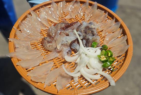 A씨가 오징어난전에서 산 5만6000원 어치 오징어 회 [사진=속초시청 홈페이지 자유게시판]