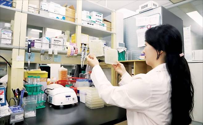 김다정 생명연 선임연구원이 박테리아에 지질나노입자 처리 후 효과를 확인하고 있다. /생명연 제공