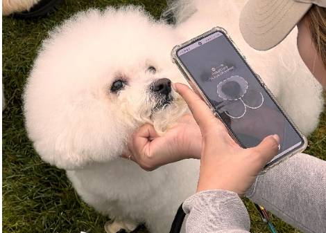 사진=시리즈벤처스