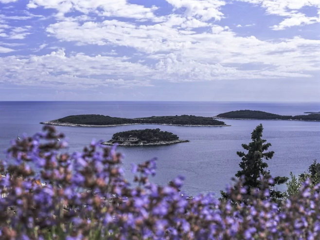보라색 라벤더 꽃이 만개한 흐바르섬, 그림 같은 푸른 바다가 함께 펼쳐지는 풍경. 사진제공|크로아티아관광청/CNTB