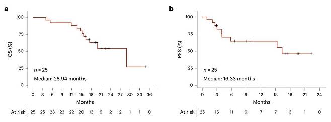 변이유전자(mKRAS) 표적 암 백신 투여 후 전체 생존기간 및 암 재발 없는 생존기간  췌장암·결장암 표준 치료를 마친 환자 25명에게 변이 유전자(mKRAS) 펩티드 항원으로 만든 림프절 표적 암 백신(ELI-002 2P)을 투여한 결과 전체 생존기간과 암 재발 없는 생존기간 중앙값이 각각 28.94개월과 16.33개월로 늘어났다. [Nature Medicine, Zev Wainberg et al. 제공. 재판매 및 DB 금지]
