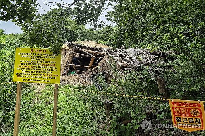 파손된 울릉 투막집 (울릉=연합뉴스) 손대성 기자 = 경북 울릉군 북면 나리에 있는 전통가옥이자 문화유산으로도 지정된 억새 투막집이 지난 겨울 폭설로 대거 파손된 채 제때 보수가 이뤄지지 않고 있다. 2025.8.12 sds123@yna.co.kr