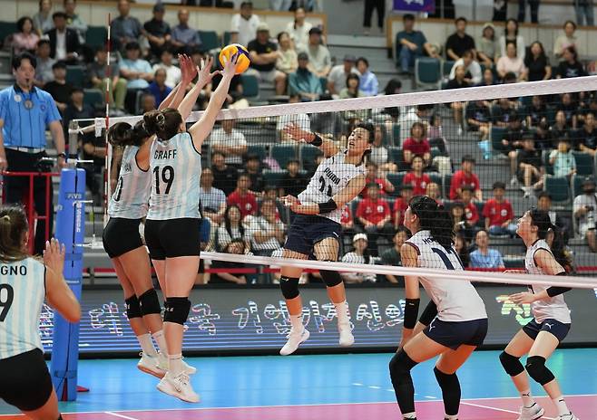 스파이크하는 한국 여자배구 대표팀의 문지윤(중앙) [대한배구협회 제공. 재판매 및 DB 금지]