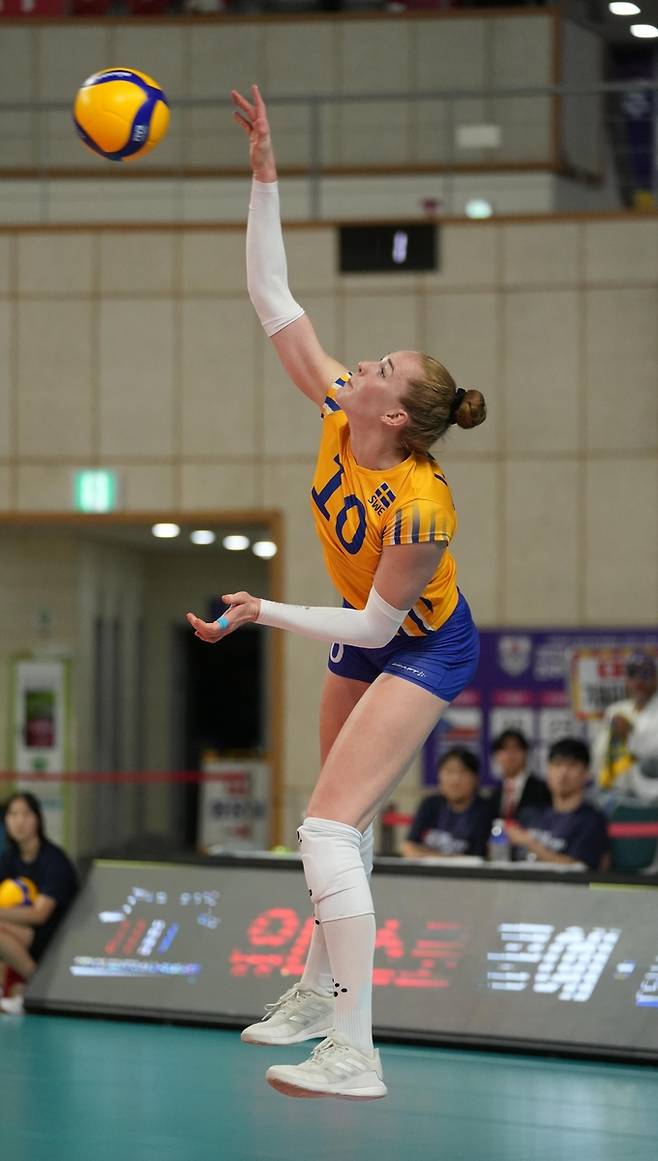 큰 키를 이용해 공격하는 하크 [대한배구협회 제공. 재판매 및 DB 금지]