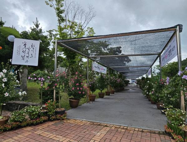 함평군 '무궁화 전시회'. /함평군 제공