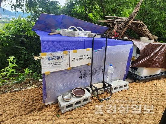 ▲ 울산 곳곳에 설치된 사설 고양이 급식소. 주민들과 캣맘 간 갈등이 지속되고 있지만 법적 해석에 따라 지자체의 대응도 달라져 갈등 조정이 쉽지 않다.