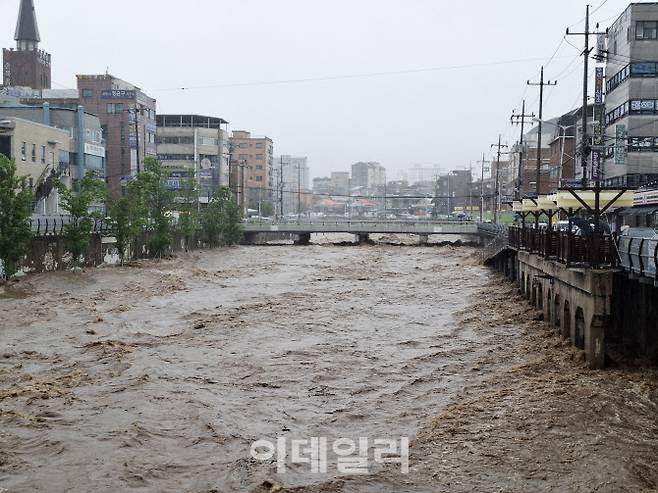 13일 오후 1시 의정부 백석천.(사진=정재훈기자)