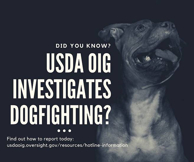 개싸움을 신고하라고 독려하는 미국 농무부의 X 게시물./USDA X