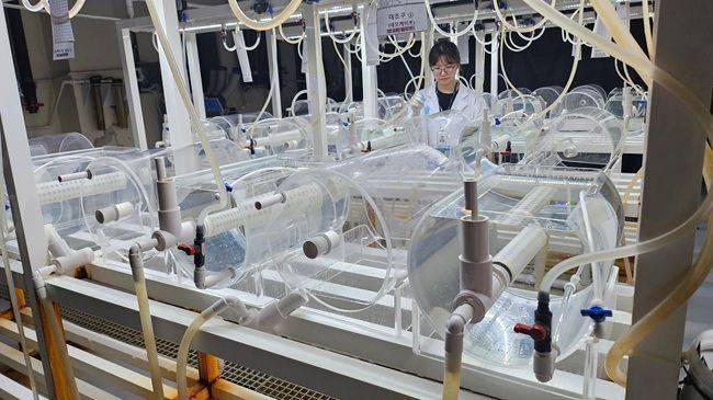 국립수산과학원이 실뱀장어 양식을 연구 중인 모습. ⓒ데일리안 장정욱 기자