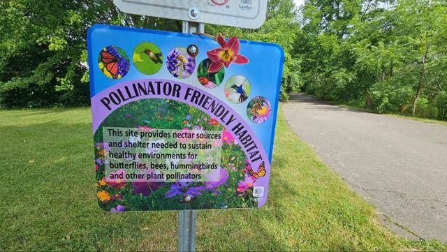 캐나다 온타리오주 런던(London, Ontario)에 있는 수분매개자 친화 서식지(Pollinator Friendly Habitat) 표지판이다. 푸른 테두리와 보라색 원형 로고 안에 나비, 벌, 벌새 등 다양한 수분매개자를 상징하는 색색의 아이콘이 들어있다. 표지판 중앙에는 "이 장소는 나비, 벌, 벌새, 그리고 다른 식물 수분매개자들이 건강한 환경에서 살아갈 수 있도록 꿀원과 쉼터를 제공합니다(This site provides nectar sources and shelter needed to sustain healthy environments for butterflies, bees, hummingbirds and other plant pollinators)"라는 문구가 적혀 있어, 토종 식물과 서식지를 제공해서 수분매개자를 보호하는 공간임을 보여준다. 김은아 제공