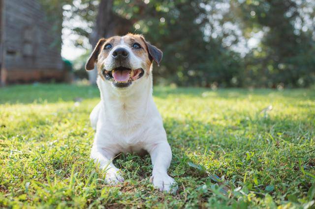 게티이미지뱅크