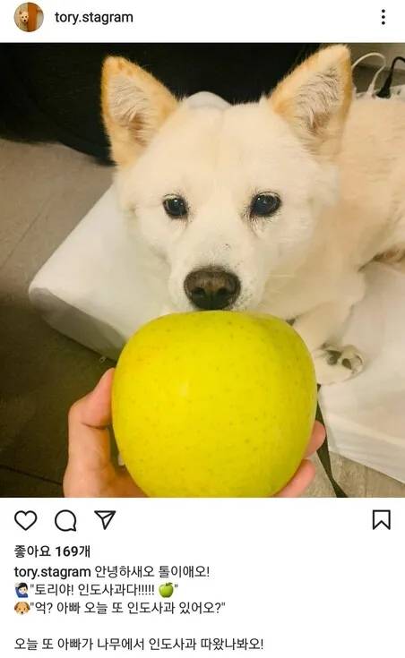 전두환 옹호 발언 후 이른바 ‘개사과’ 논란을 야기한 SNS 게시물. [중앙포토]