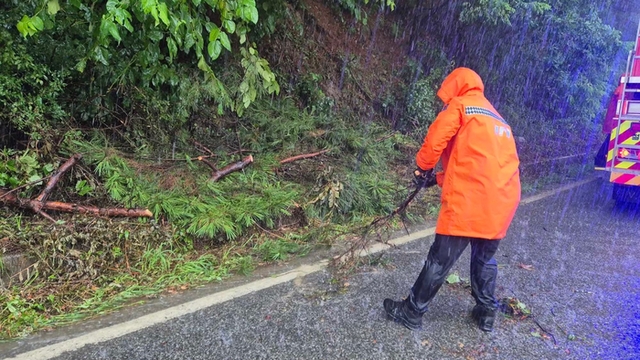 ▲ 13일 오후 2시 1분쯤 철원군 갈말읍 내대리에서 “쓰러진 나무가 도로를 막고 있다”는 신고가 접수돼 소방당국이 안전조치했다. 강원도소방본부 제공