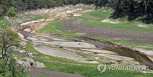 지난 12일 강원 강릉시 주 상수원인 오봉저수지 저수율이 역대 최저치인 25.4%까지 낮아진 가운데 저수지 중·상류 지역에 잡초가 무성하다. 연합뉴스