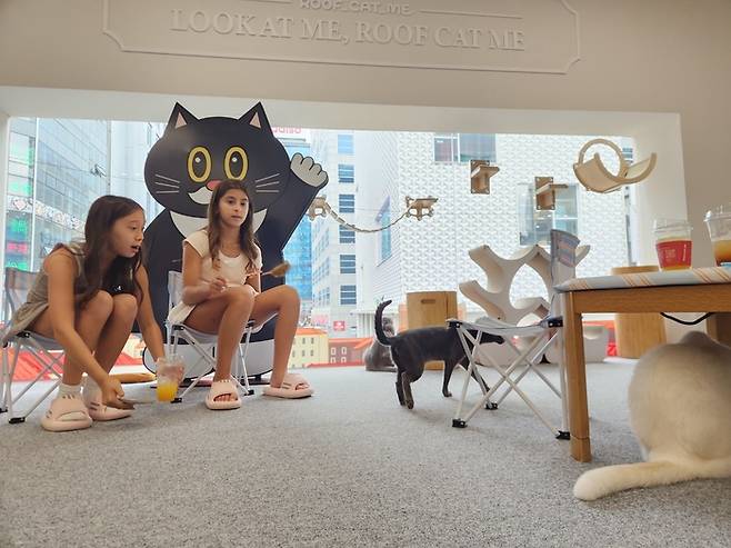 ‘루프캣미’ 명동점을 찾은 외국인 관광객들이 동물들과 즐거운 시간을 보내고 있다. 이한나 선임기자