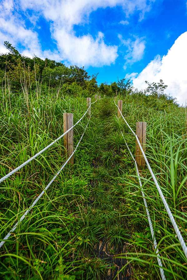 가파른 사면을 올라 능선에 이르면 초지대가 펼쳐진다.