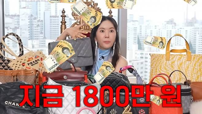 사진 = 유튜브 채널 'A급 장영란'