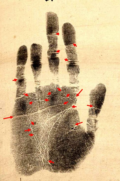 지문 감정서. 장탄일성 선조일본 속 손바닥 도장