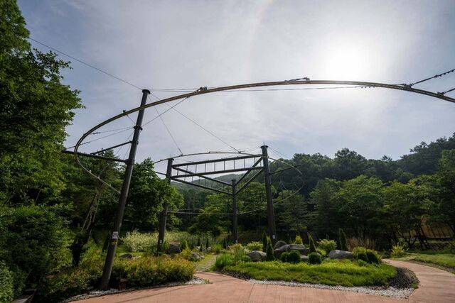 곡선형 활강 시설을 갖춘 태조산 산림레포츠단지.