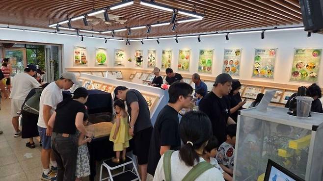 구리시 곤충생태관 '과학곤충 특별전' 모습. /사진제공=구리시