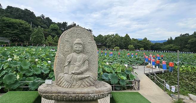 경기 남양주시 봉선사 연꽃 단지의 불상