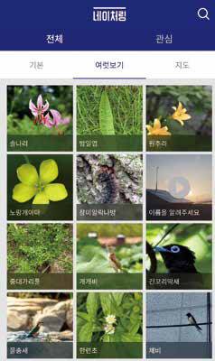 스마트폰에서 ‘네이처링’ 앱을 구동해봤다.회원들이 직접 찍은 자연 관찰 사진들이 보인다.