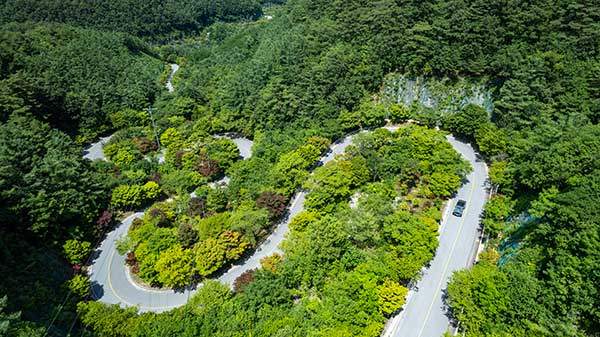 단양 보발재전망대에서 내려다본 보발재 오름길. 소백산 자락길에 있다. 원래 단풍명소이기도 한데 한여름 초록 장관을 볼 수 있는 명소로 손색없다. 이 길을 타고 내려가면 구인사가 나온다.