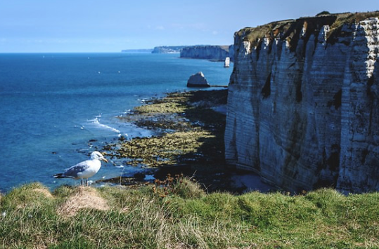 절벽 관련 이미지. 기사와 직접적인 관련 없음. 아이클릭아트
