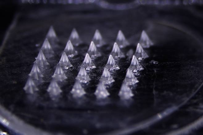 대웅테라퓨틱스가 개발한 약물전달시스템(DDS) '마이크로니들' 패치를 6.7배 확대 촬영한 모습.(대웅테라퓨틱스 제공)/뉴스1