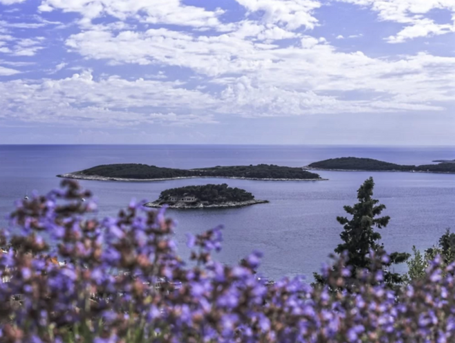 보라색 라벤더 꽃이 만개한 흐바르섬, 그림 같은 푸른 바다가 함께 펼쳐지는 풍경 / 사진=크로아티아관광청