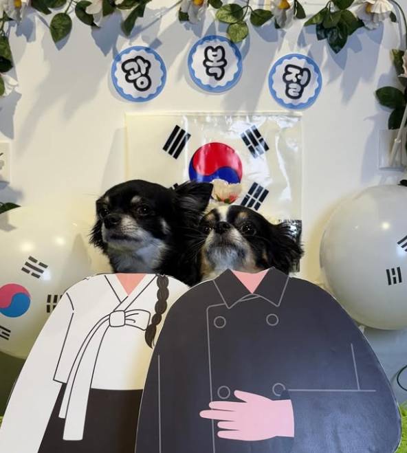 김지민이 광복절을 기념해 자신의 SNS에 게재한 반려견 사진./사진=김지민 SNS화면캡쳐