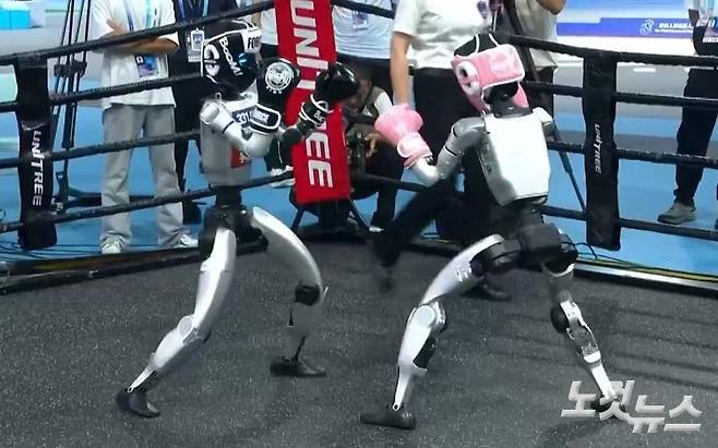 '2025 세계 휴머노이드로봇 올림픽' 격투기 종목에 출전한 로봇들. 임진수 베이징 특파원