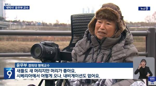 윤무부 교수 / 사진=유튜브 채널 KBS News 캡처