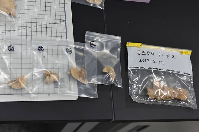 독도 강치 두개골 등 시료 [국립수산과학원 제공. 재판매 및 DB 금지]