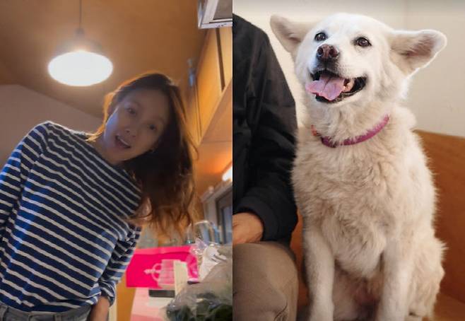 이효리와 석삼이(사진=SNS)