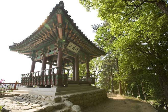 황희가 관직에서 물러나 여생을 보낸 ‘반구정’(경기 파주시). 갈매기를 벗 삼는 정자라는 뜻이다. 파주시 제공