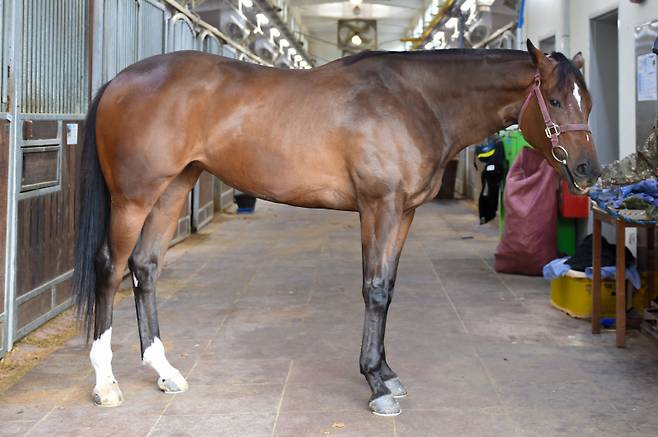원평스킷. 사진=한국마사회