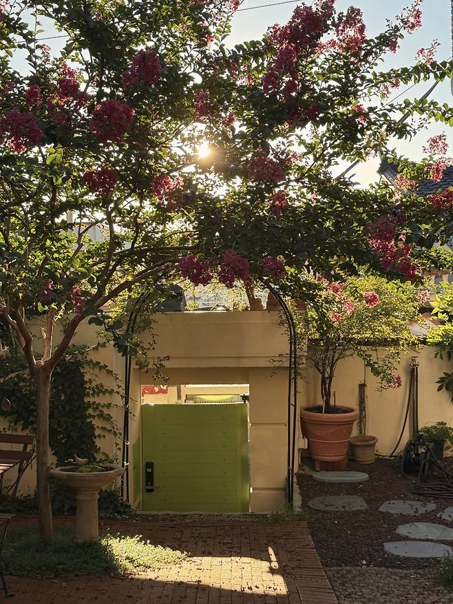 임유정씨(@22dossi_home)에게 집은 단지 머무는 장소가 아니라 빛과 바람, 시간과 감정에 따라 표정이 달라지는 살아 있는 유기체 같은 존재다.