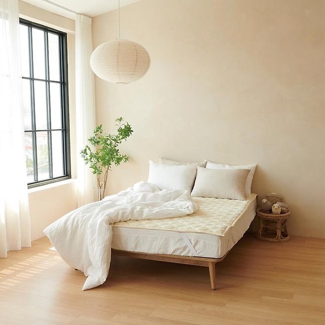 온-이브자리 ‘프리미엄 양모패드’. [사진 제공=이브자리]