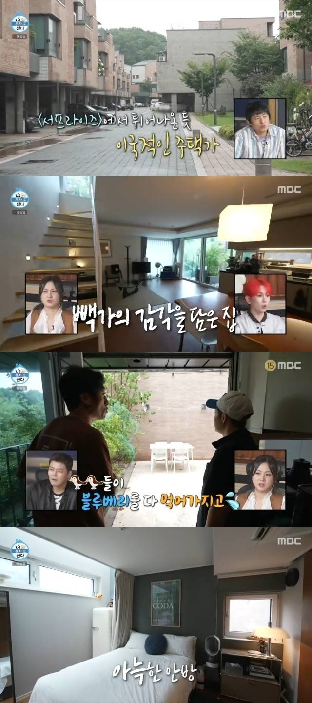 MBC ‘나 혼자 산다’ 캡처